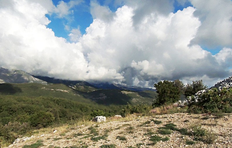 Konavle Valley10